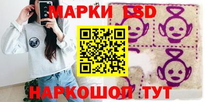 хмурый Кингисепп