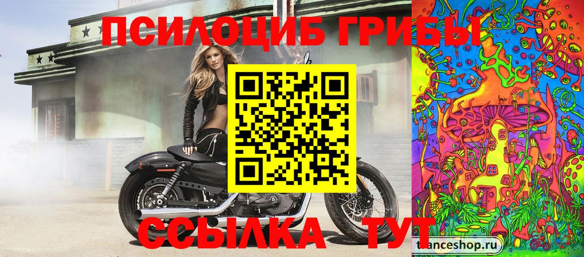 Слободской  Псилоцибиновые грибы Psilocybe  Галлюциногенные грибы мицелий  купить наркотик  Вход с VPN 